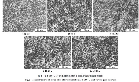 圖２ 在１０００ ℃、不同道次間隔時間下變形后試驗鋼的顯微組織