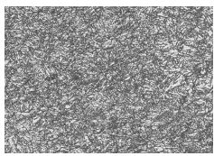 40CrNiMoA合金螺栓調(diào)質(zhì)金相組織400&times;