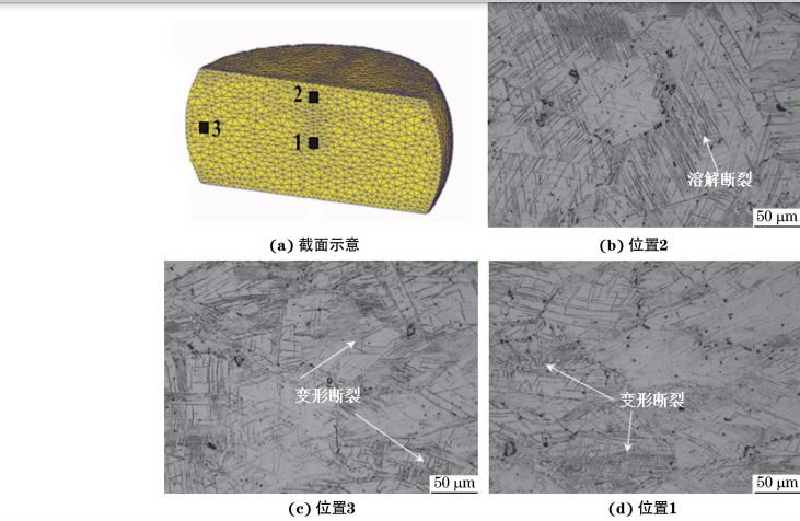 在９８０ ℃、應(yīng)變速率為０．０１０s－１下壓縮至應(yīng)變量為３０％后
